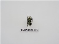 藏品(黑紋蒼藍天牛)的圖片